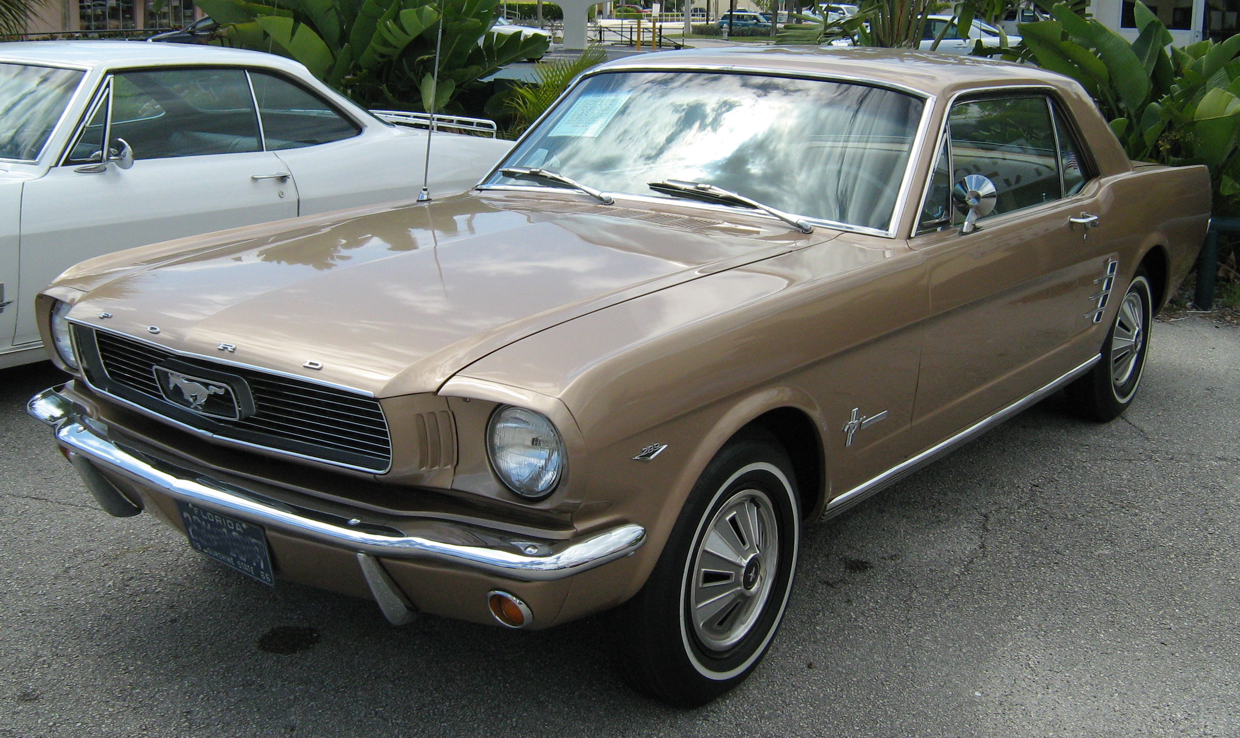 1966_Ford_Mustang_T-5_car.jpg